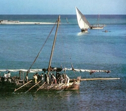 8027-dhows.jpg